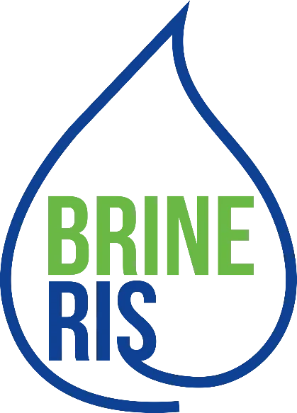logo_brineris