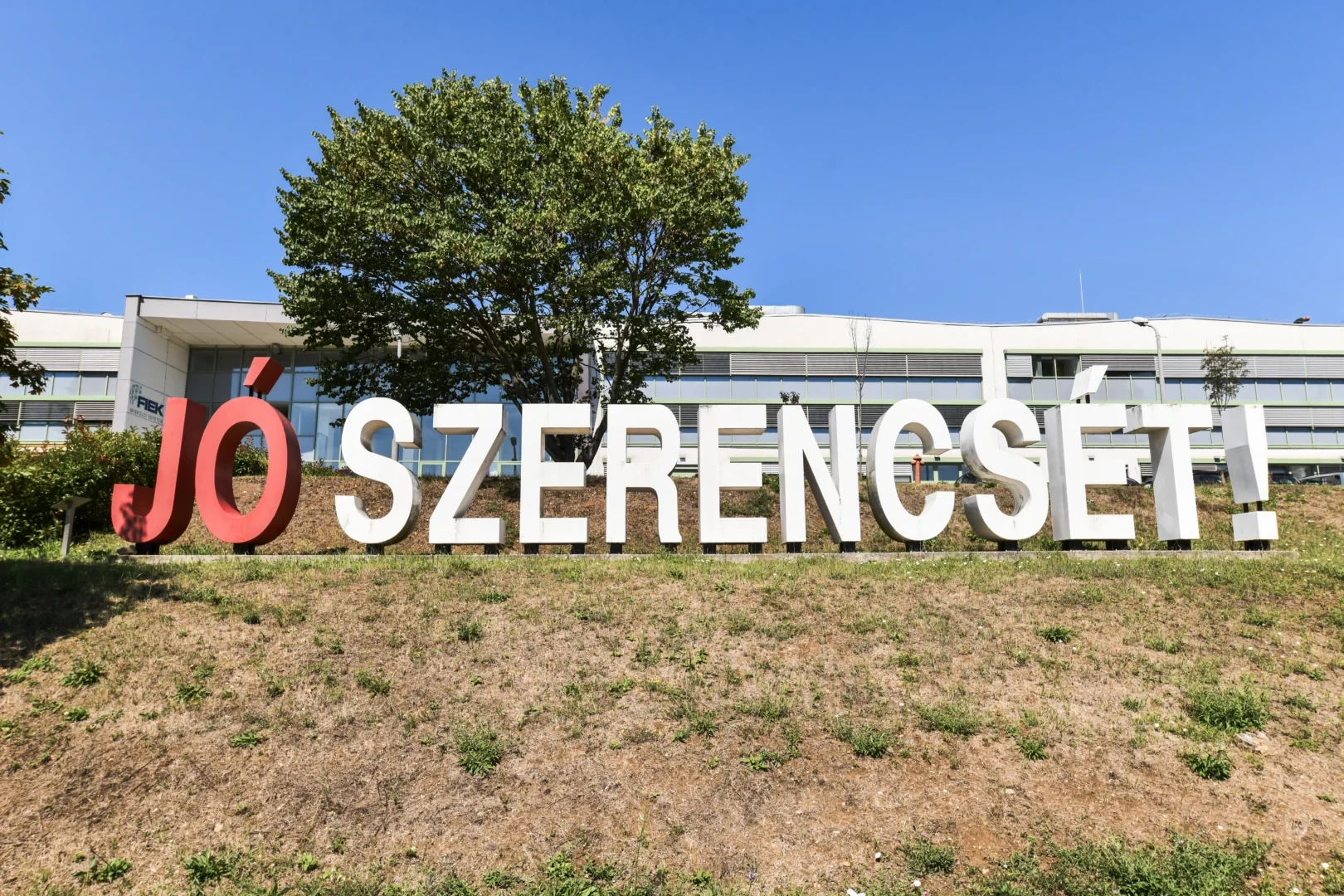 jó szerencsét