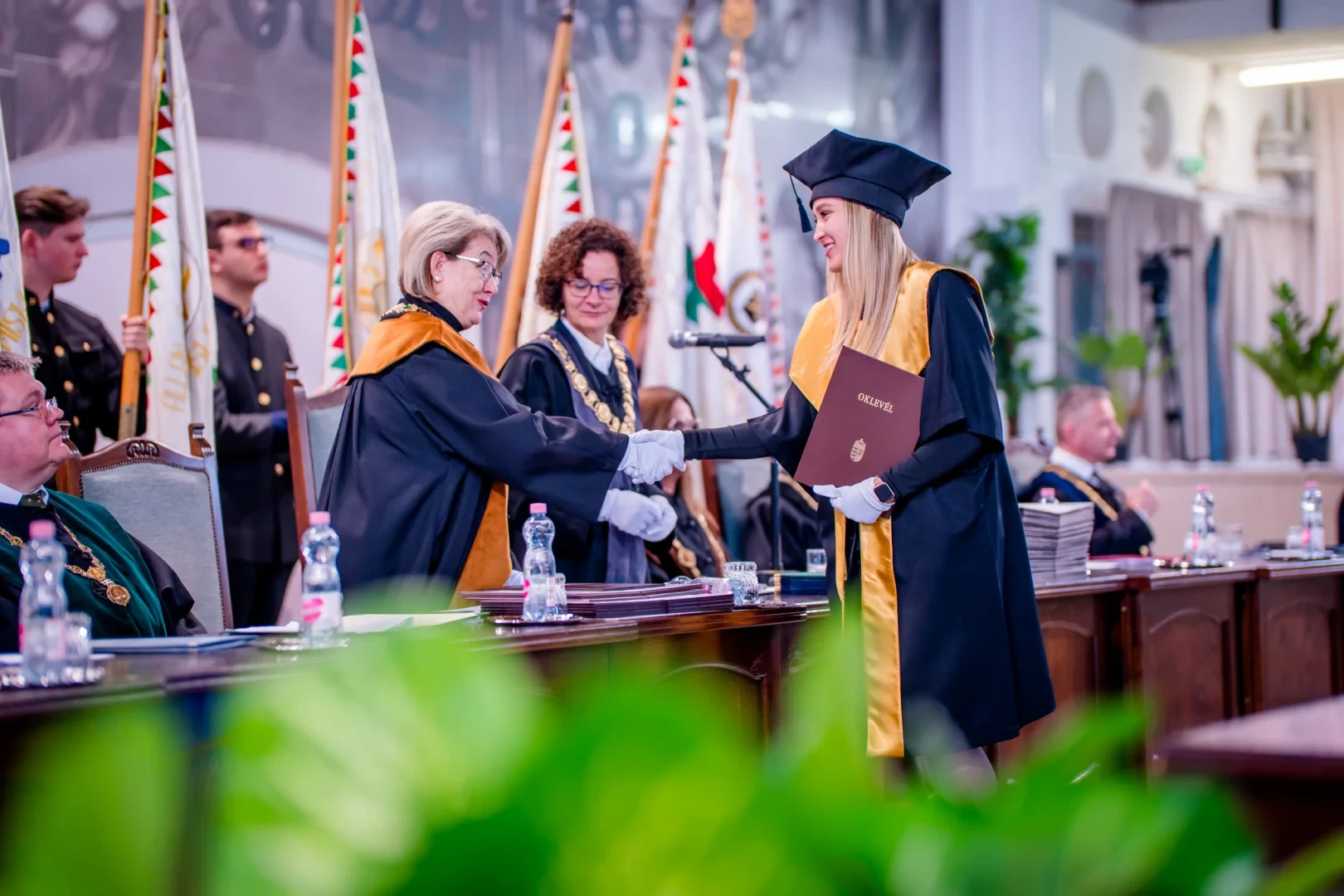 250129-dipiosztó-33