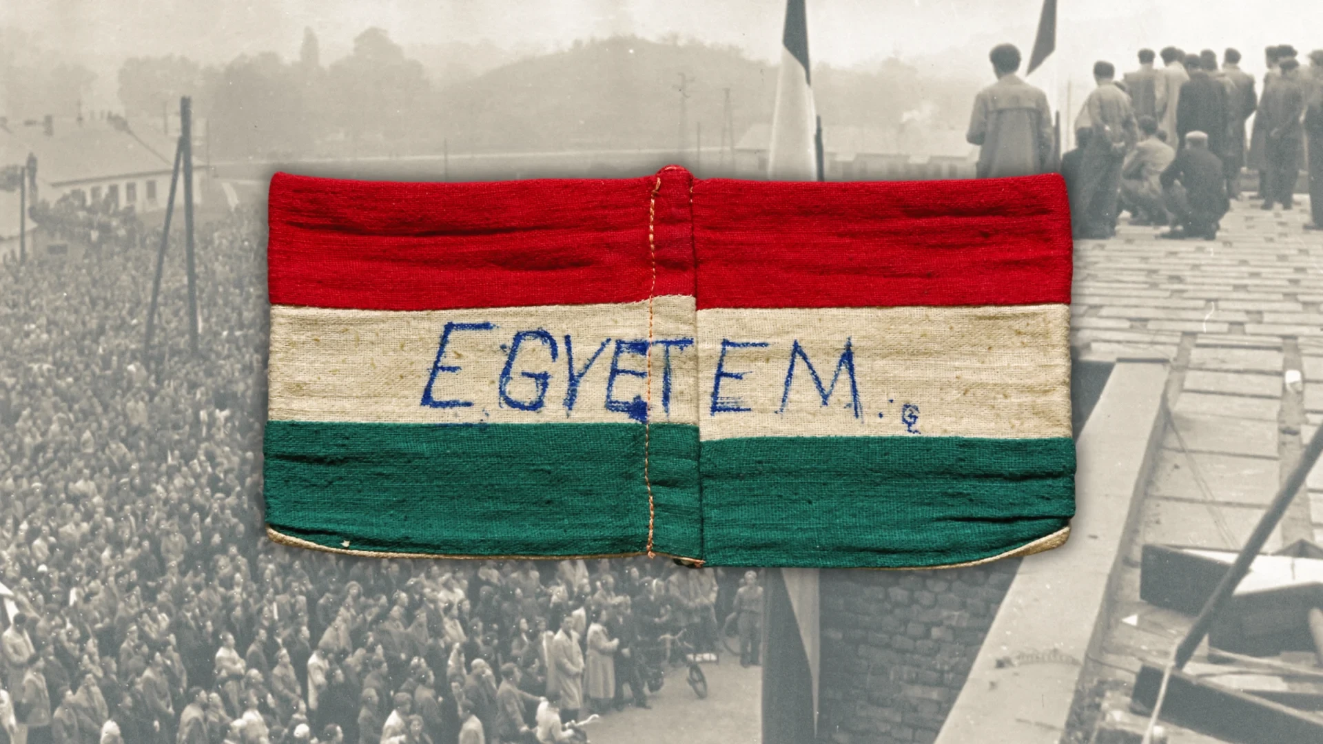 egyetem '56